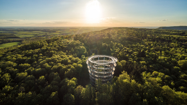 Bild Baumwipfelpfad Steigerwald Baumwipfelpfad Steigerwald